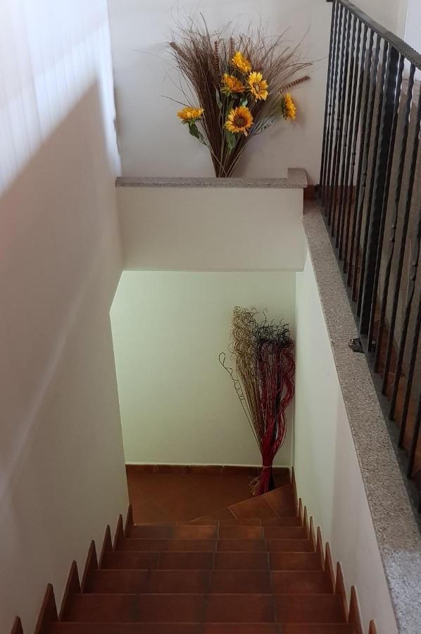 לינה וארוחת בוקר SantʼAntìoco Bed & Breakfast S' Accorru מראה חיצוני תמונה